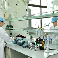 China: Forschung nach Parteibuch?