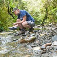 Gibt es einen neuen Goldrausch in Kalifornien?