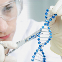 Erste wirksame CRISPR-Gentherapie gegen Sichelzellenanämie