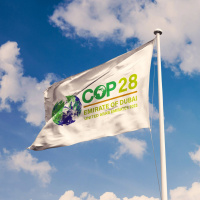 Deshalb sind Klimaproteste zur COP28 in Dubai wenig zu hören