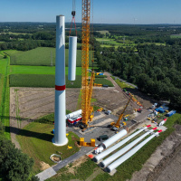 Studie: Mehr Tiere und Pflanzen vom Aussterben bedroht als bisher angenommen