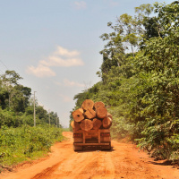 Schutz für den Regenwald: Das bringt das geplante EU-Gesetz