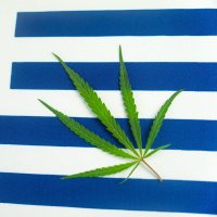 Cannabis-Legalisierung: Uruguay macht gute Erfahrungen