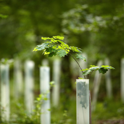Swr2 Impuls - Wissen Aktuell