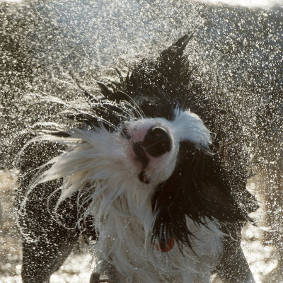 Swr2 Impuls - Wissen Aktuell