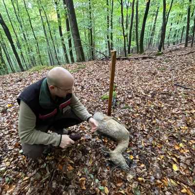 Swr2 Impuls - Wissen Aktuell