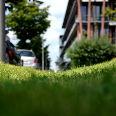 Swr2 Impuls - Wissen Aktuell