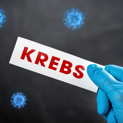 Swr2 Impuls - Wissen Aktuell