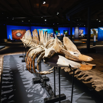 Swr2 Impuls - Wissen Aktuell