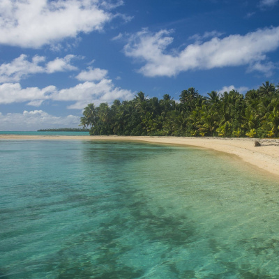 Swr2 Impuls - Wissen Aktuell