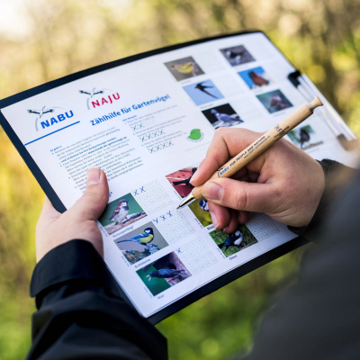 Swr2 Impuls - Wissen Aktuell