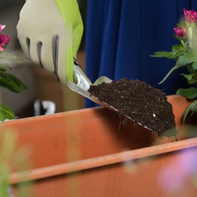 Swr2 Impuls - Wissen Aktuell