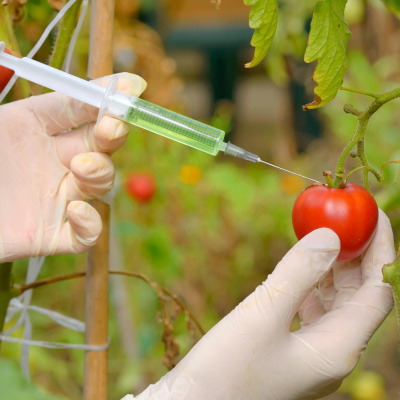 Swr2 Impuls - Wissen Aktuell