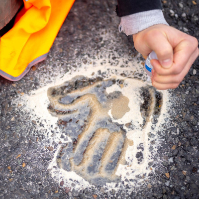 Swr2 Impuls - Wissen Aktuell