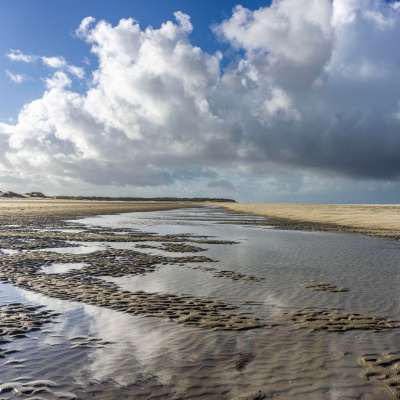 Swr2 Impuls - Wissen Aktuell