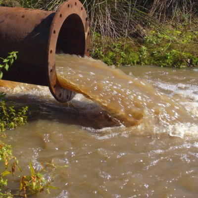Swr2 Impuls - Wissen Aktuell