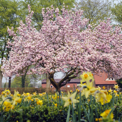 Swr2 Impuls - Wissen Aktuell