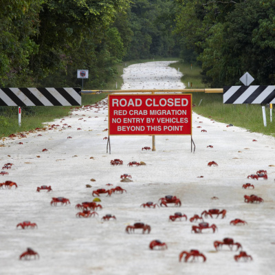 Swr2 Impuls - Wissen Aktuell