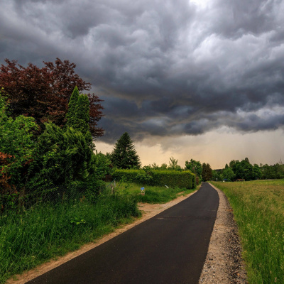 Swr2 Impuls - Wissen Aktuell