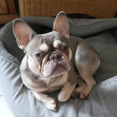 Swr2 Impuls - Wissen Aktuell