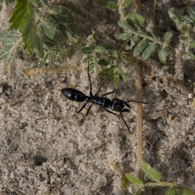 Swr2 Impuls - Wissen Aktuell