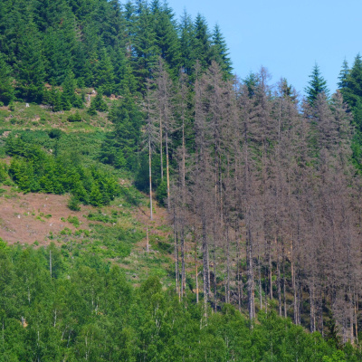 Swr2 Impuls - Wissen Aktuell