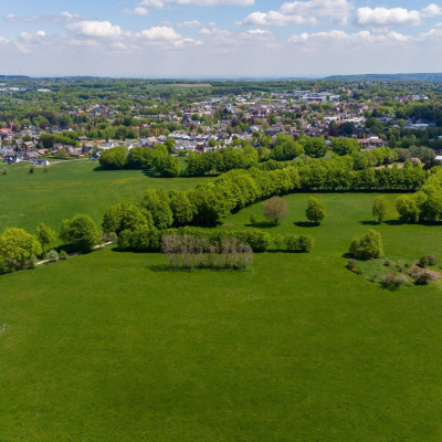 Swr2 Impuls - Wissen Aktuell