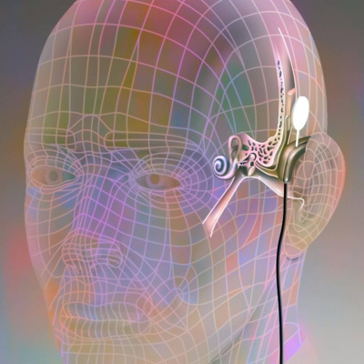 Swr2 Impuls - Wissen Aktuell