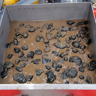 Swr2 Impuls - Wissen Aktuell