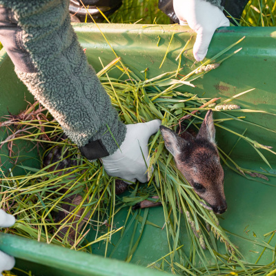 Swr2 Impuls - Wissen Aktuell