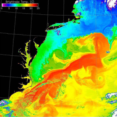 Swr2 Impuls - Wissen Aktuell