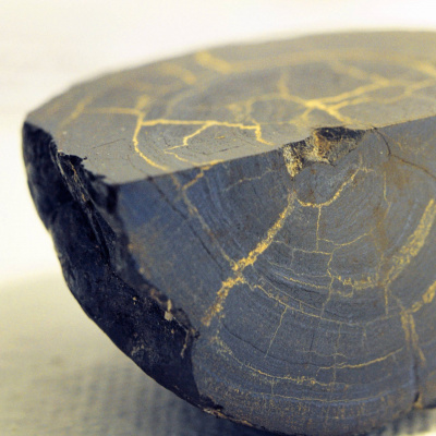 Swr2 Impuls - Wissen Aktuell