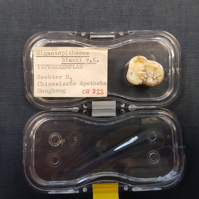 Swr2 Impuls - Wissen Aktuell