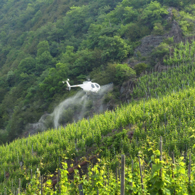 Swr2 Impuls - Wissen Aktuell