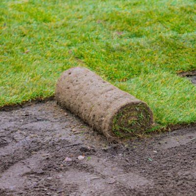 Swr2 Impuls - Wissen Aktuell