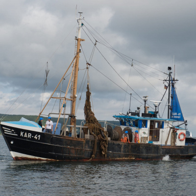 Swr2 Impuls - Wissen Aktuell