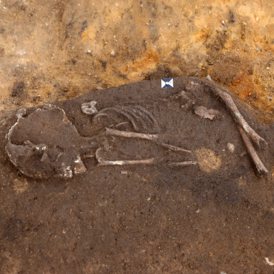 Swr2 Impuls - Wissen Aktuell