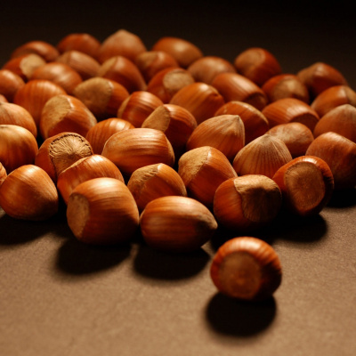 Swr2 Impuls - Wissen Aktuell