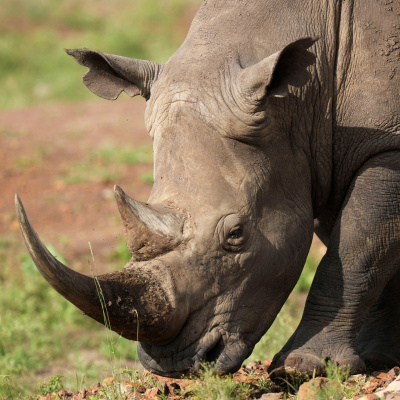 Swr2 Impuls - Wissen Aktuell