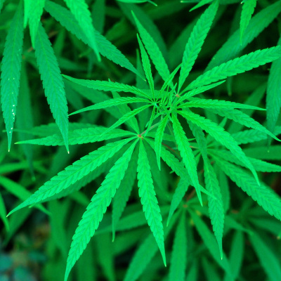 Swr2 Impuls - Wissen Aktuell