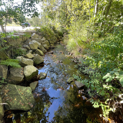 Swr2 Impuls - Wissen Aktuell