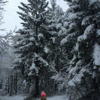 First Cosmic Jam of 2015