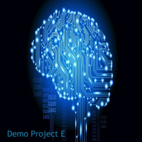 Electronic Demo Project
