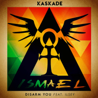 Kaskade Ft. Ilsey - Disarm You (Ismael Yanara Remix)