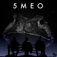 SPECIAL PODCAST FOR OUR NEW DOCUMENTARY 5MEO