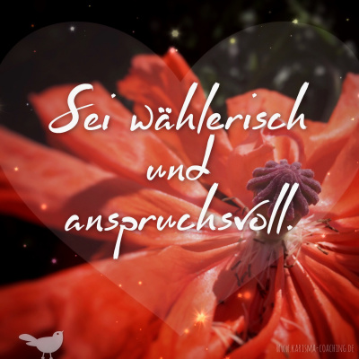 Karisma | Impulse - Kleine Denkanstöße Für Den Alltag