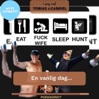 329. En vanlig dag...