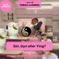 284. Gin, Gyn eller Ying?