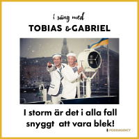 257. I storm är det i alla fall snyggt att vara blek!