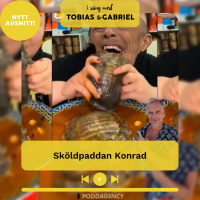 285. Sköldpaddan Konrad